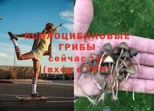гашишное масло Аркадак