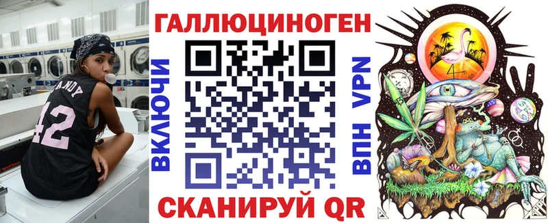 Псилоцибиновые грибы Psilocybe  Зима 