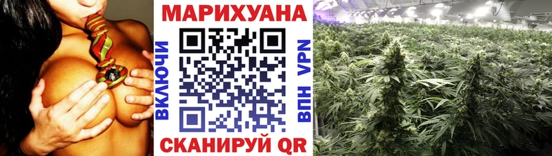 Бошки марихуана SATIVA & INDICA  Зима 